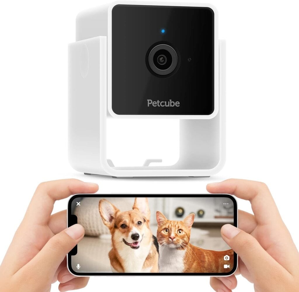Petcube Cam